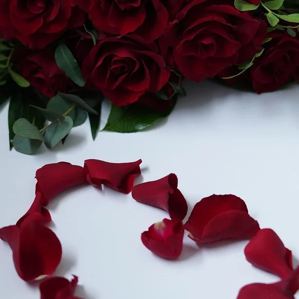 问鼎娱乐百家乐游戏